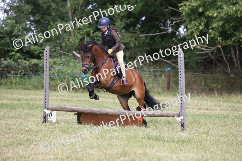 20260614-1819 - Class 21 - Novice Working Hunter Pony