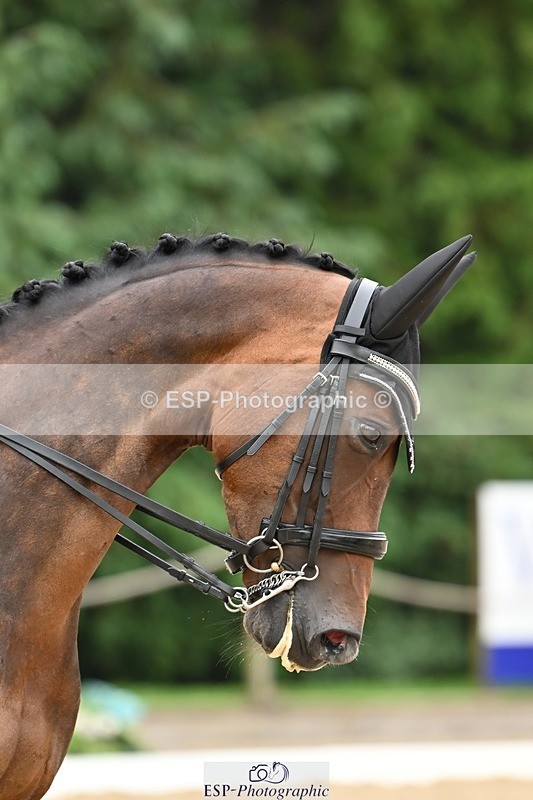 240811-123149-05743 - 237-Debbie.Summerfield-I.Cleo