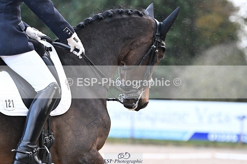 231110-150018-02088 - Cls 8 Medium 75Q