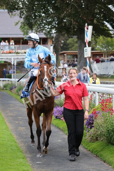 yr24092021r8-33 - Race 8 5.25pm William Hill Build Your Own Odds Apprentice Stakes