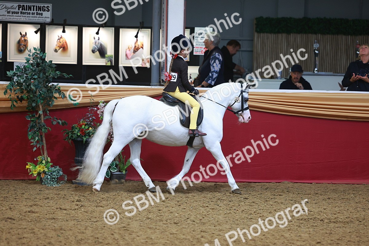 SBM_10580 - Class 103 - HOYS Veteran Qualifier - Ridden Pre Vet