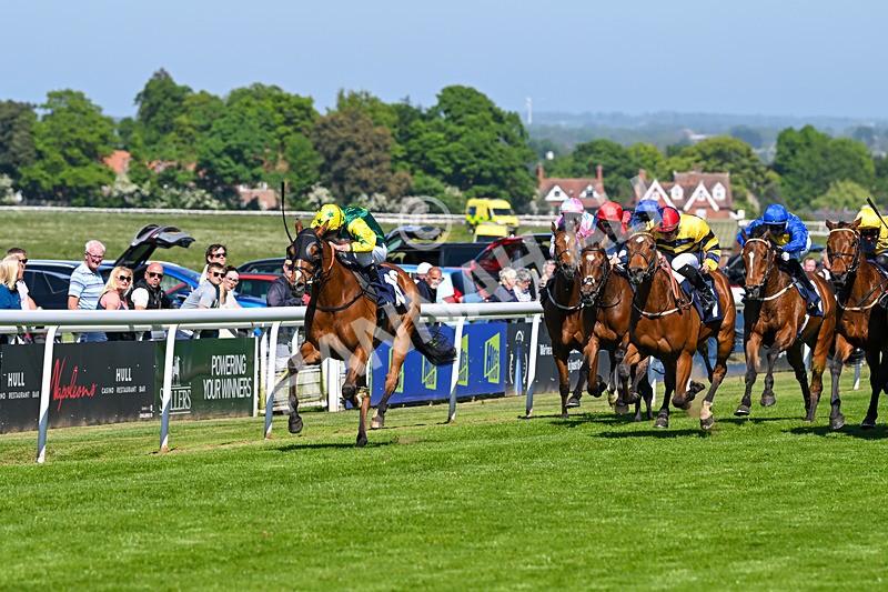 130525-Race 4-Coolree-9995 - Race 4