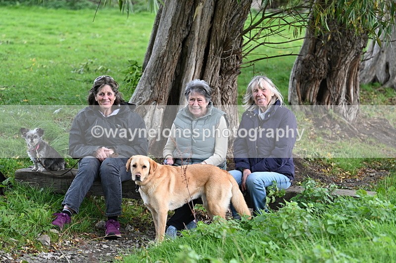 WJ7_1137 - Time 14:27 to 15:11