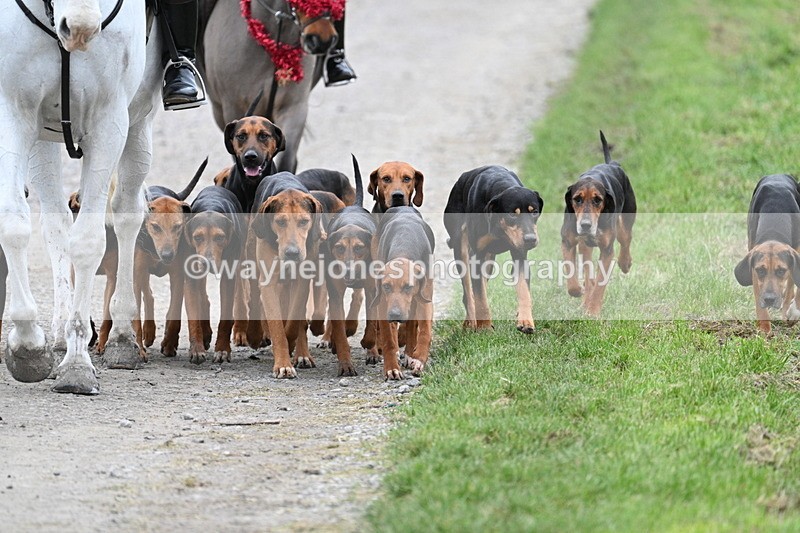 WJ7_1205 - Walk Home