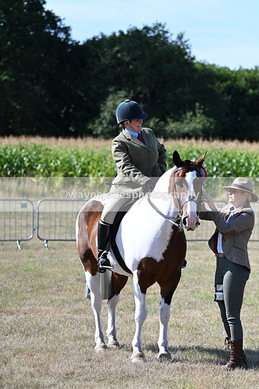 WJ7_3186 - Class 8 Ridden Tack & Turnout
