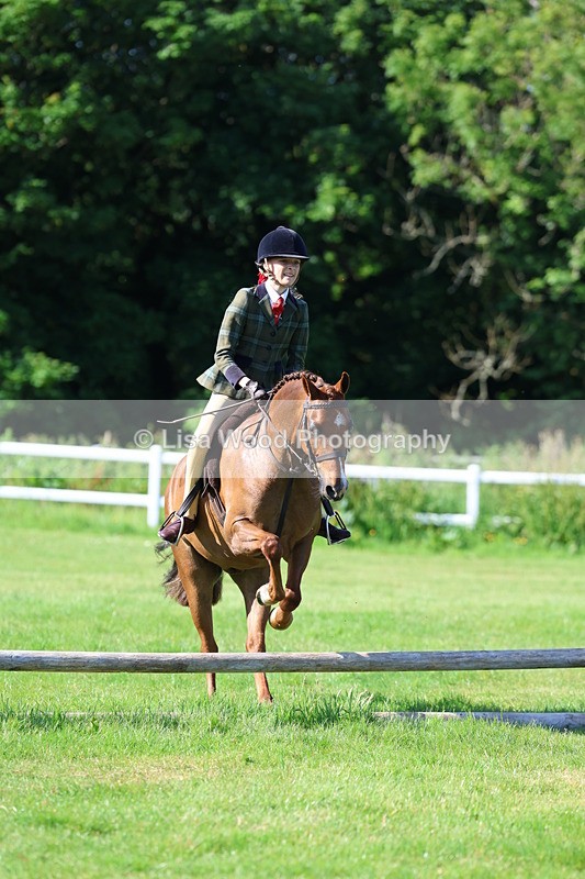 3E7A5903 - Class 27: Novice Working Hunter Pony