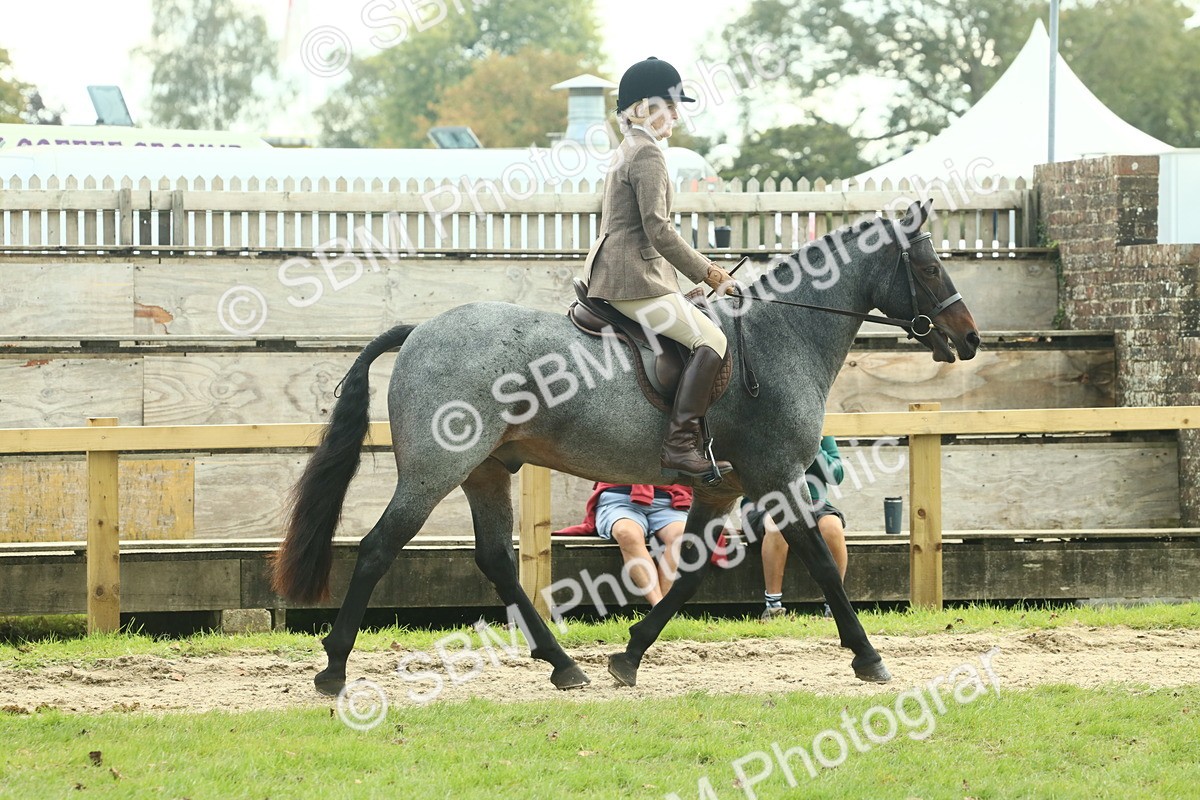 SBM_62583 - S63 - Other Coloured Horse Ridden