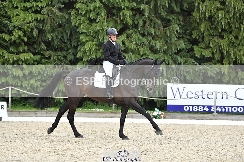 230525-141648-03121 - 319-RINGFORT_REVE_DU_MOULIN-Andrew_Downes-WEDTrotUp+DR
