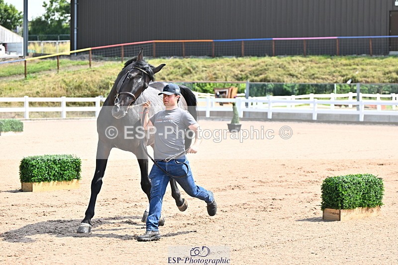 240718A-105237-00940 - Trot Up 11am to 12pm