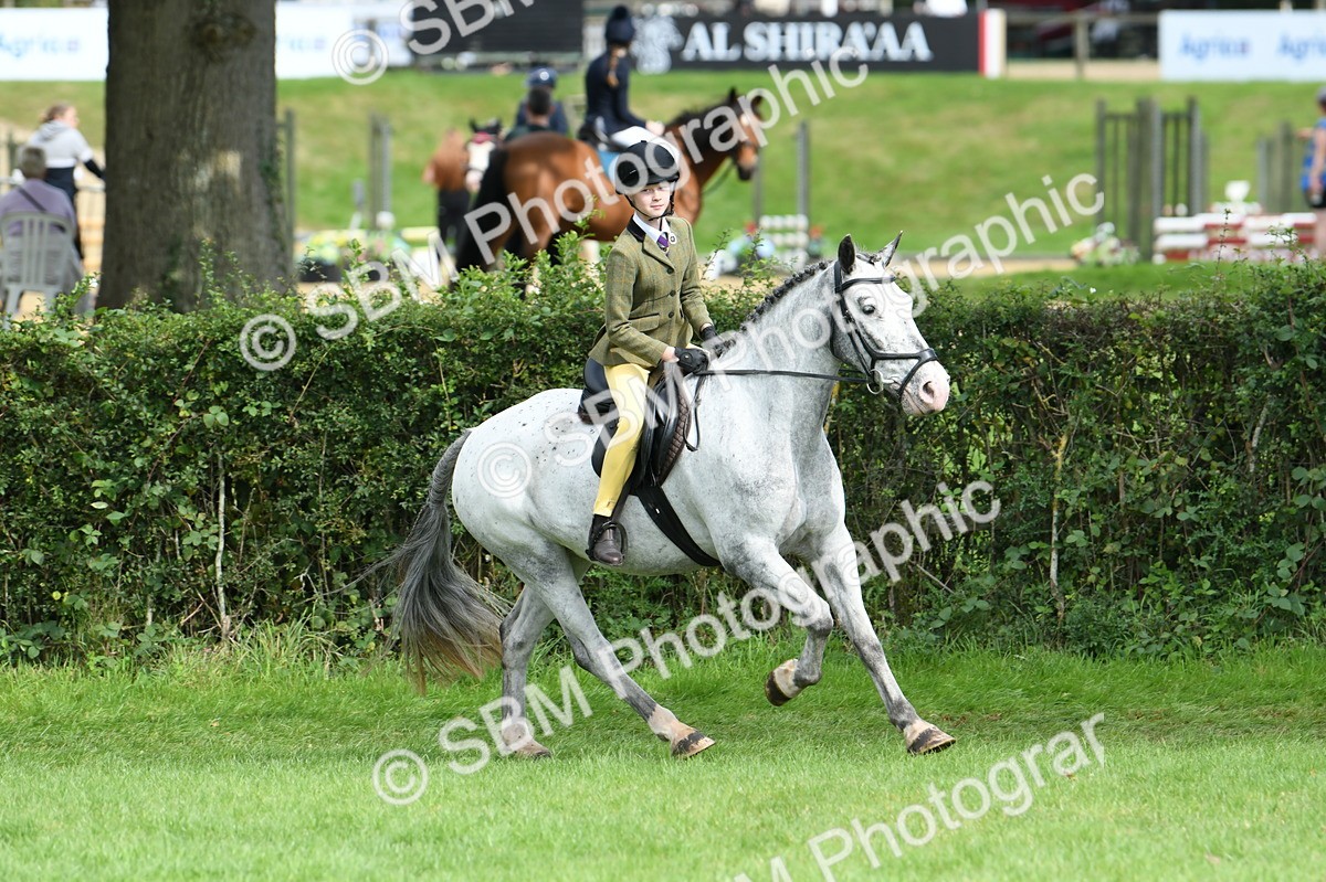 SBM_46881 - S12 - Family Horse & Pony