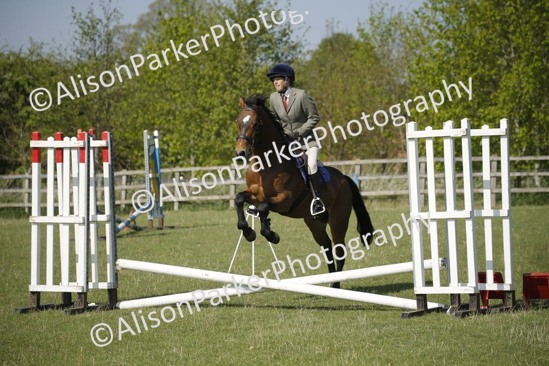 20250427-0367 - Class 12 - Rookie Jumping 40cm