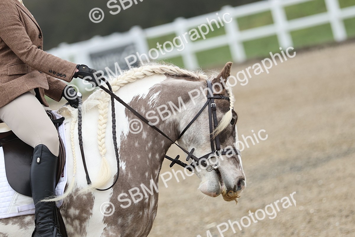 SBM_000175 - Class 1-9 - Intro 2