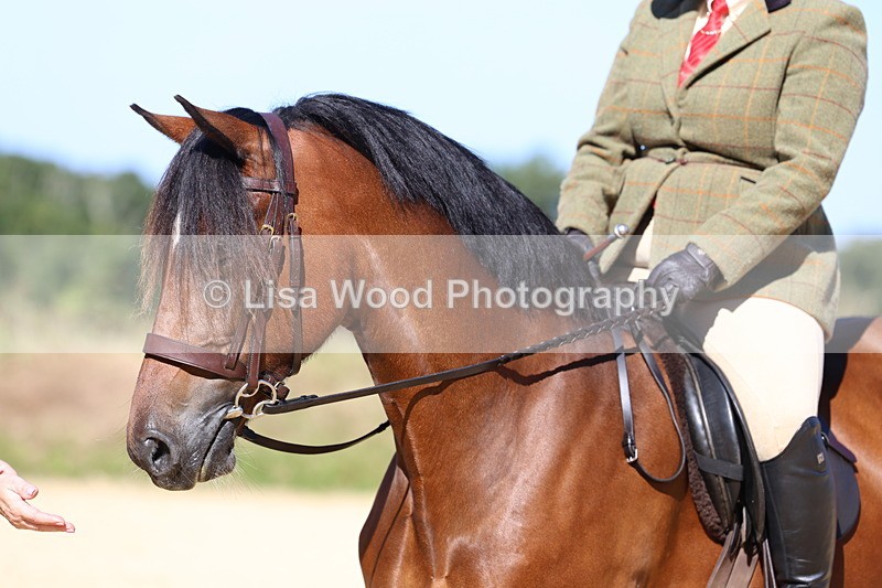 3E7A7930 - Class 14: Tack and Turnout