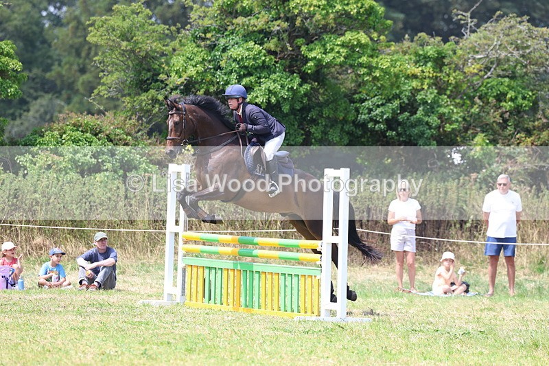 3E7A2971 - Class 7: Senior British Novice/90cm open