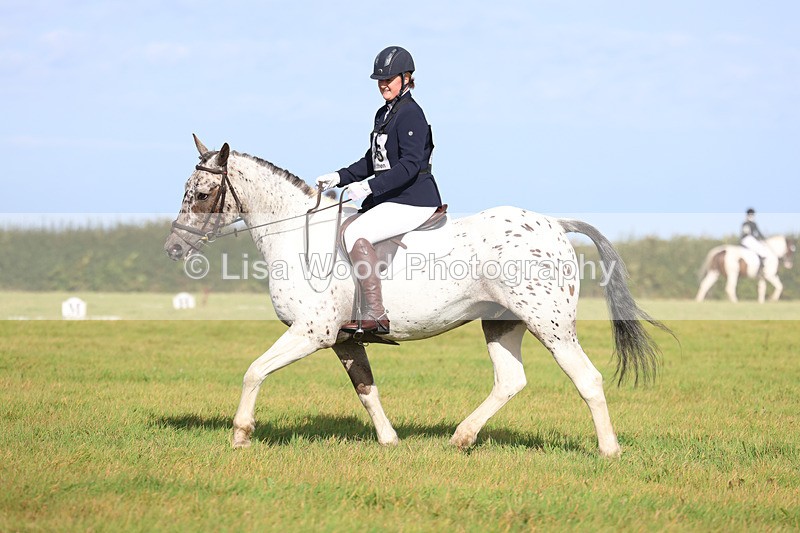 3E7A6017 - Class 1: Trebudannon Open: Dressage (Part 2)