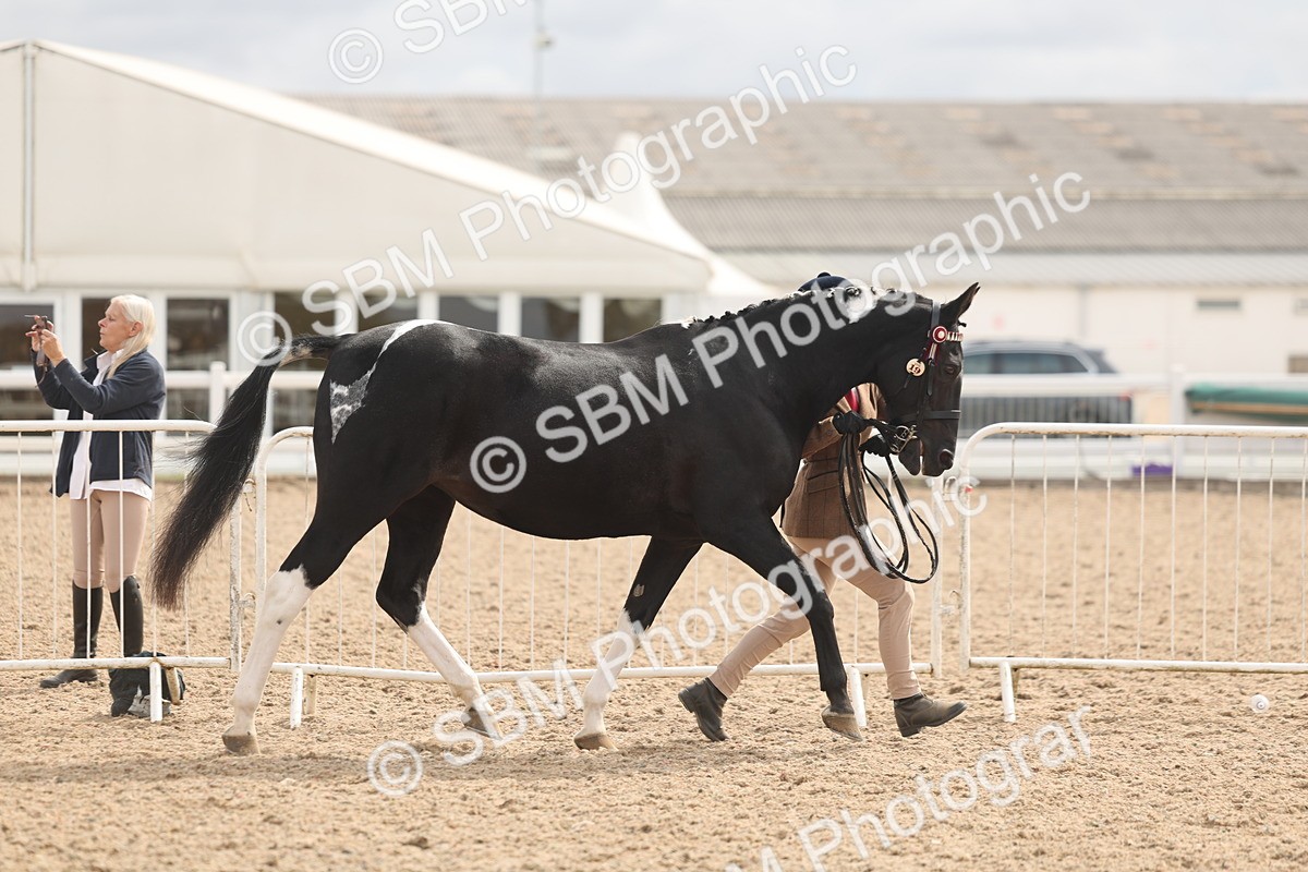 SBM_04943 - Class 20 - IH Veteran