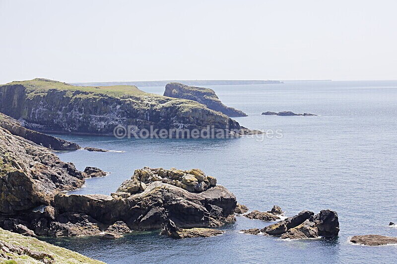 _56A7128 - Skomer 2019