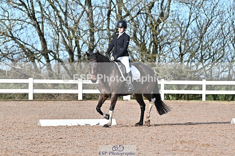 250125-104858-00242 - Dressage - CT Class 4 BE95 (80cm)