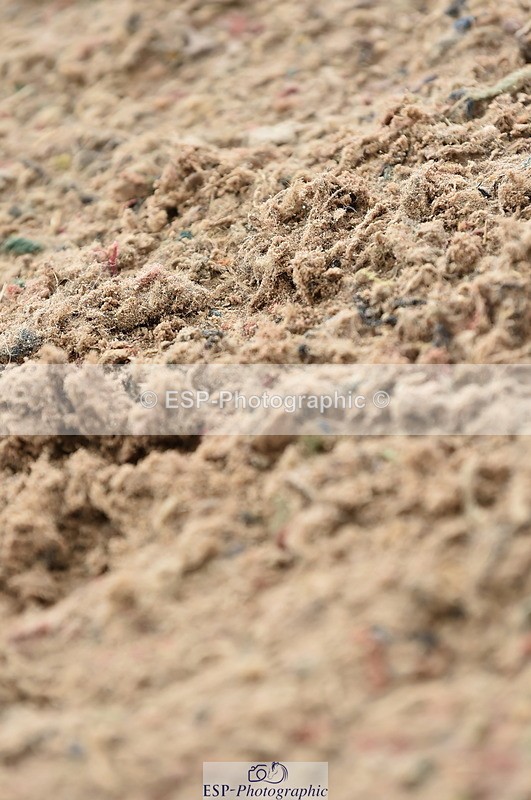 231013A-111208-01427 - Cls 1 85cm Amateur Quali