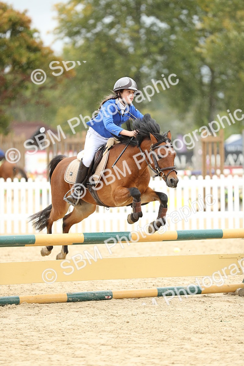 SBM_70152 - J15 - Junior Pony 70cm Championship