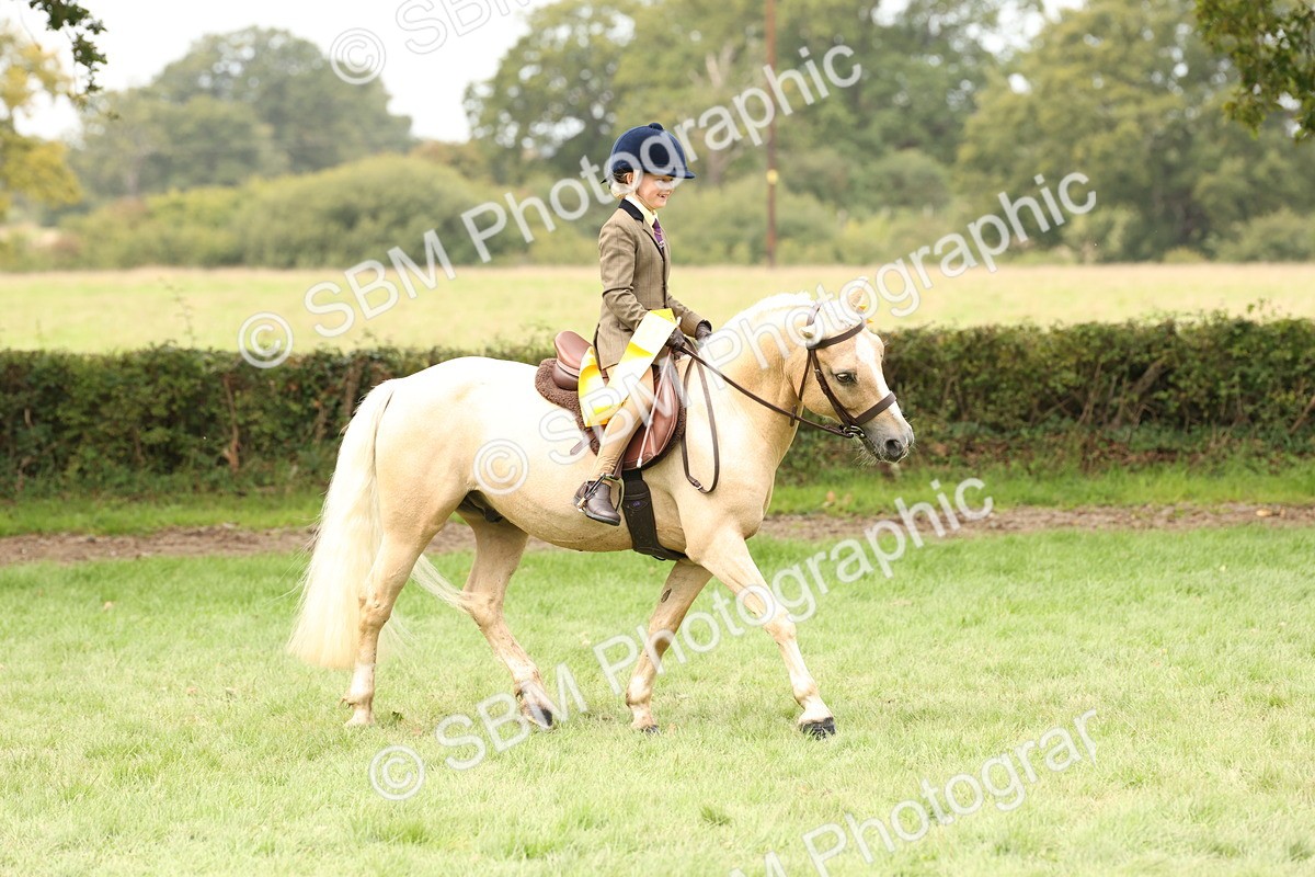 SBM_63064 - S64 - Foreign Breeds Ridden