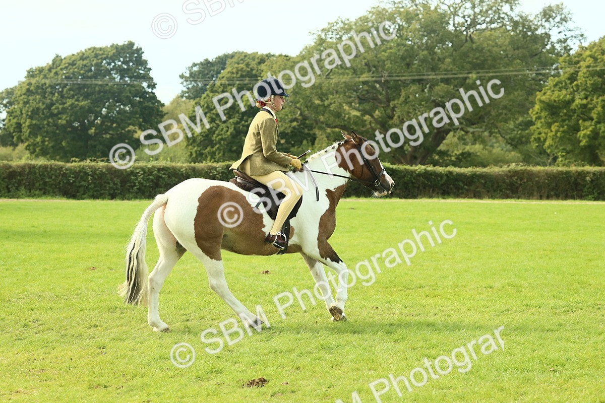 SBM_68123 - S57 - Part Bred Pony Ridden