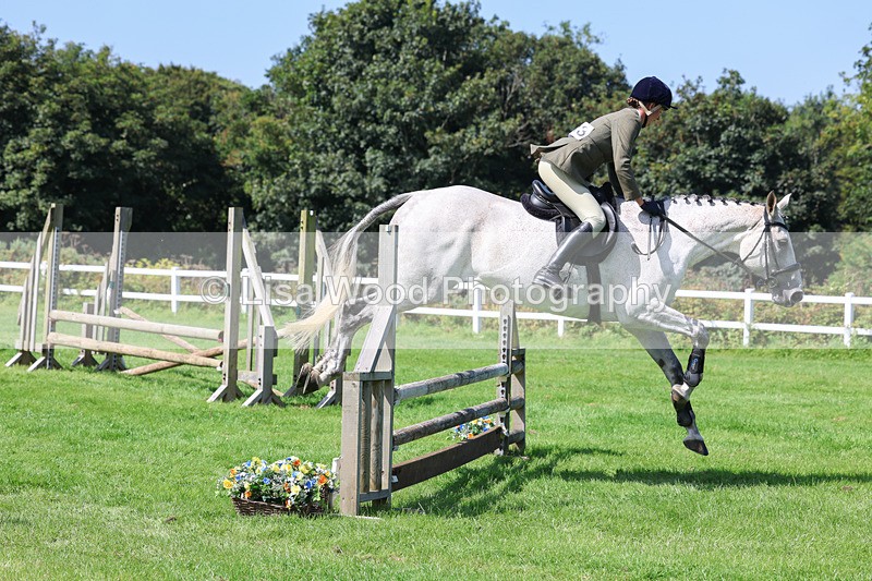 3E7A8585 - Class 5: Working Show Horse