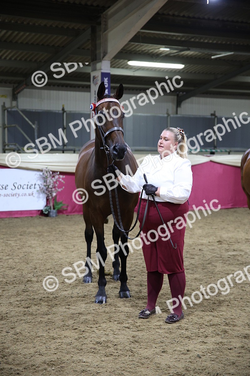 SBM_18835 - Class E IH Horse Champ