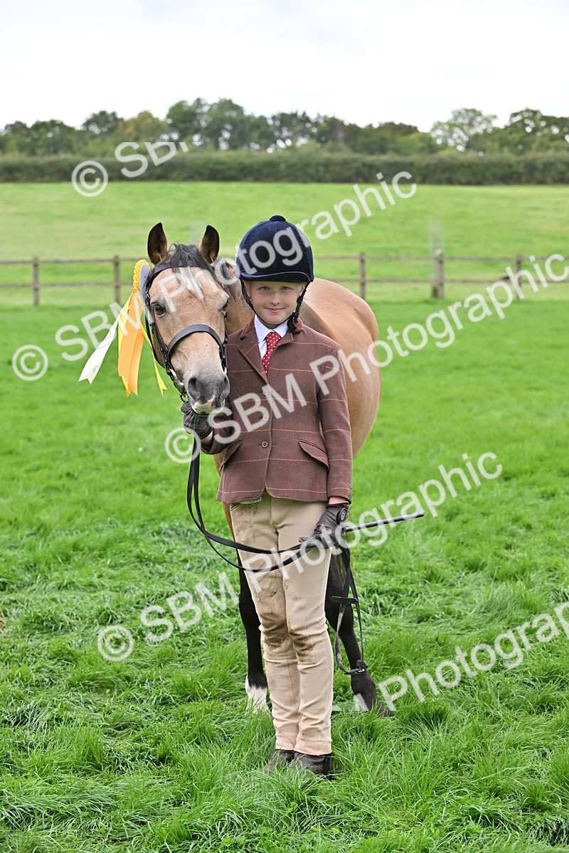 SBM_61090 - S48 - Mountain & Moorland In Hand Small Breeds