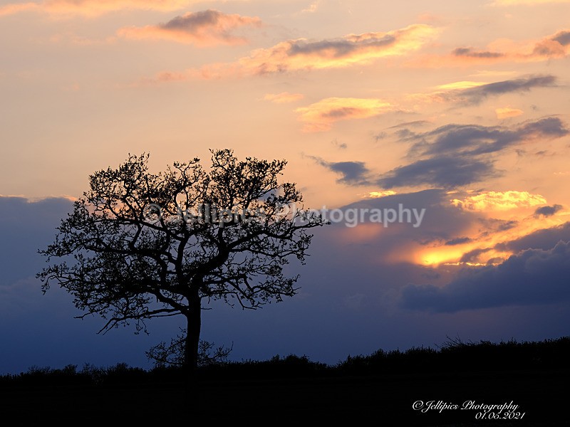  - Landscapes