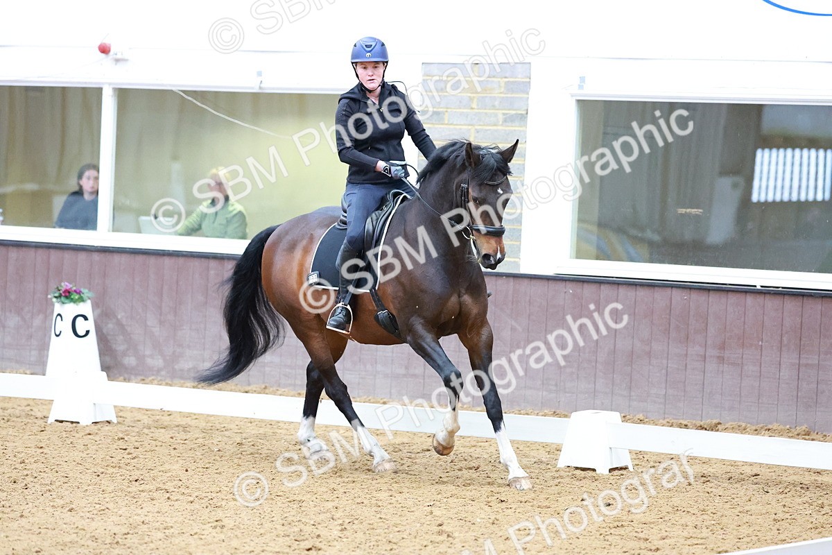 1I0A0772 - Class 3-6 - Prelim 1-Novice 2
