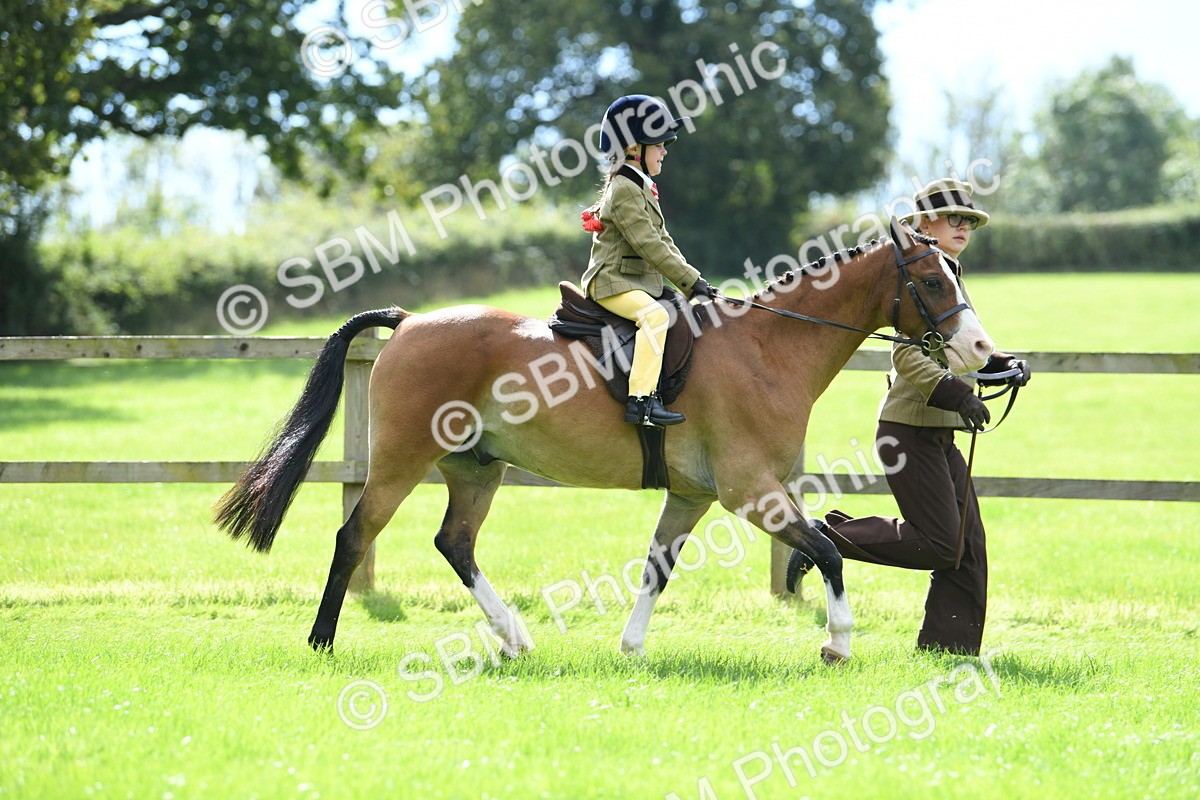 SBM_41202 - S19 - Lead Rein Show & Show Hunter Pony