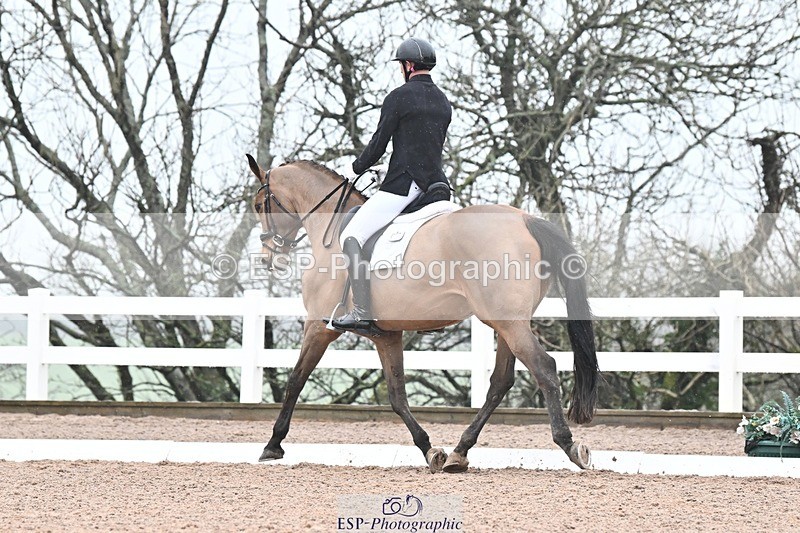 250215-095332-02889 - 200-Joe.Roome-Acqua.Marina.Della.Caccia