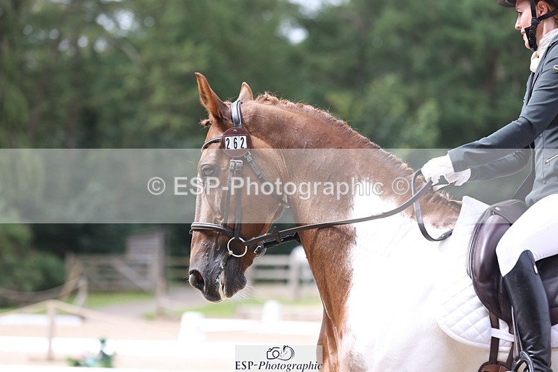 230812-121450-03968 - Cls 5 Novice Bronze 11.15 to 12.50 break