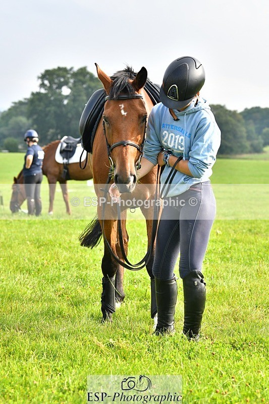 230817-093840-02616 - Abbie's 1st Group - Dressage