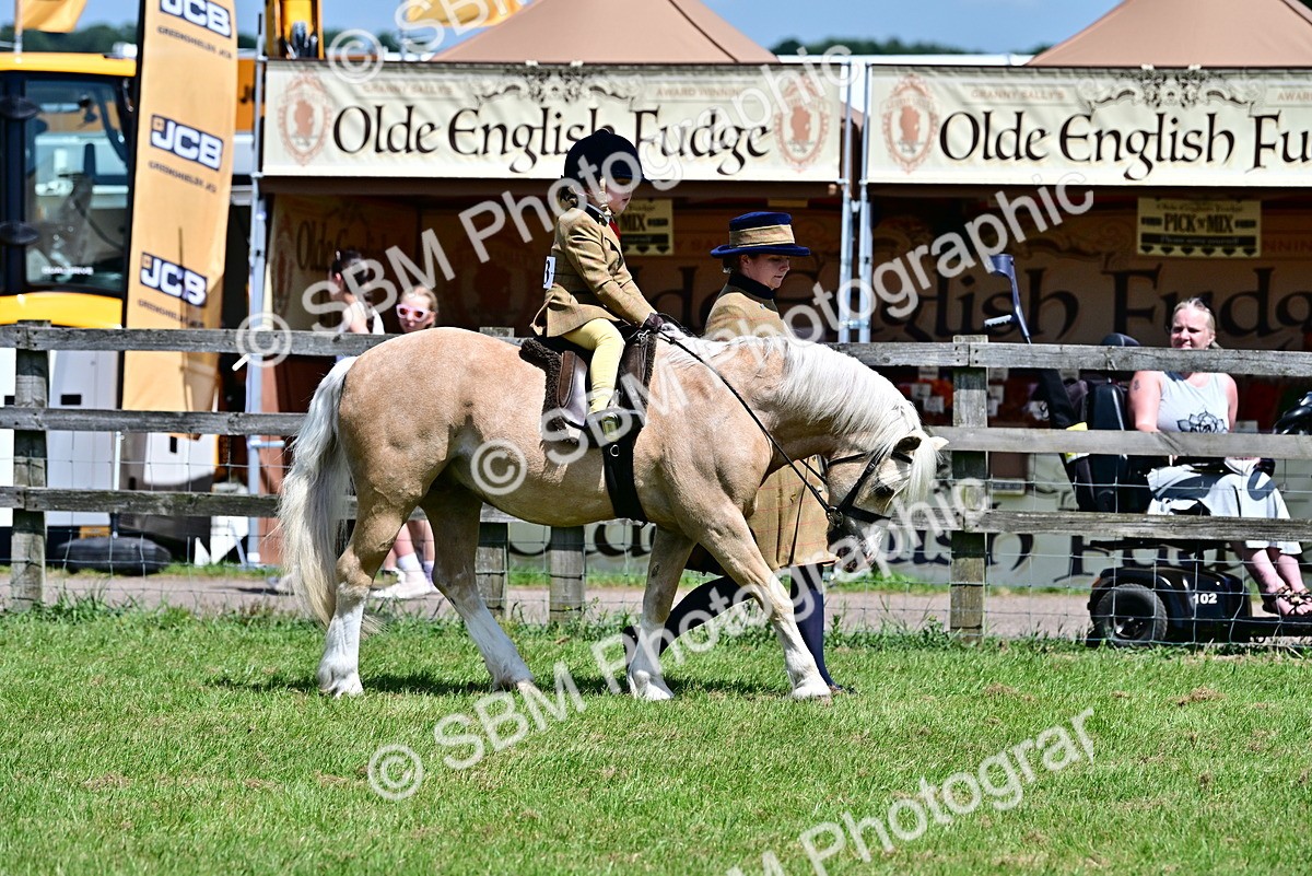 SBM_05933 - Class 59-60 - TSR M&M  Lear Rein and First Ridden Amateur of the year