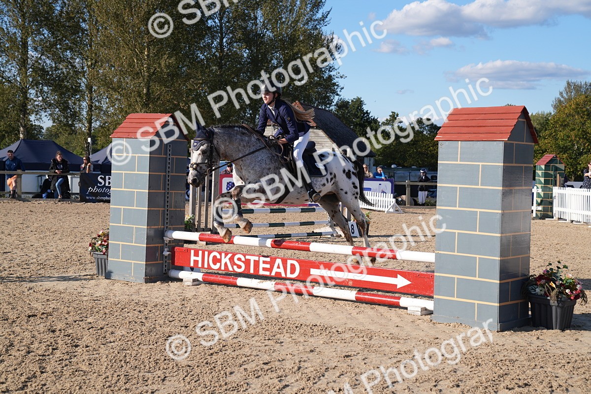 SBM_28029 - J43 - Super Speedy Scurry Open - 60cm