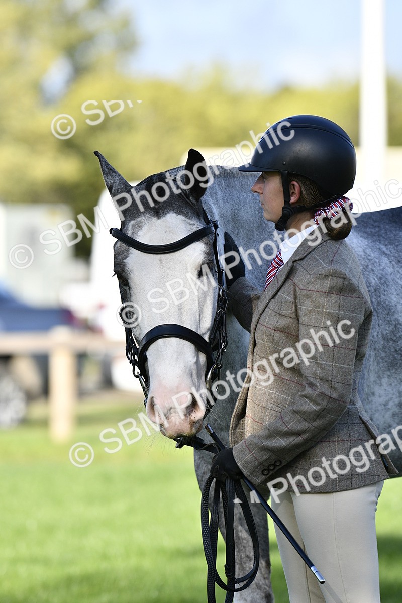 SBM_52239 - S35 - Working Hunter & Working Show Horse