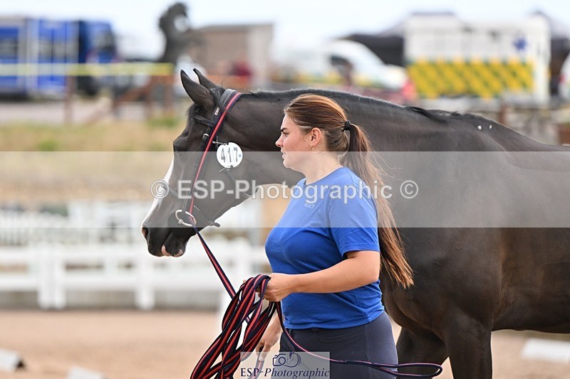 250716-145537-01519 - Trot Up 2.30 to 3.30