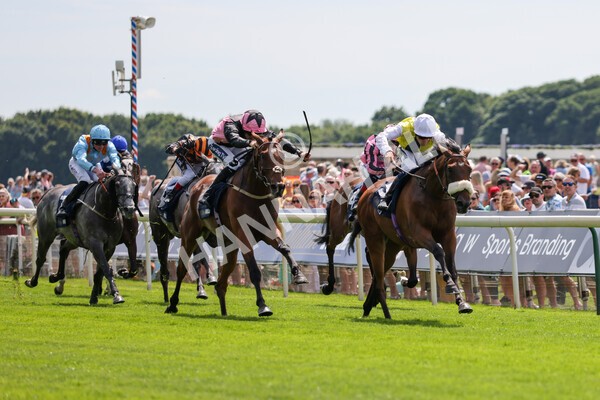 yr08072022r1 -19 - Race 1 2.05pm William Hill Best Odds Guaranteed Handicap Stakes