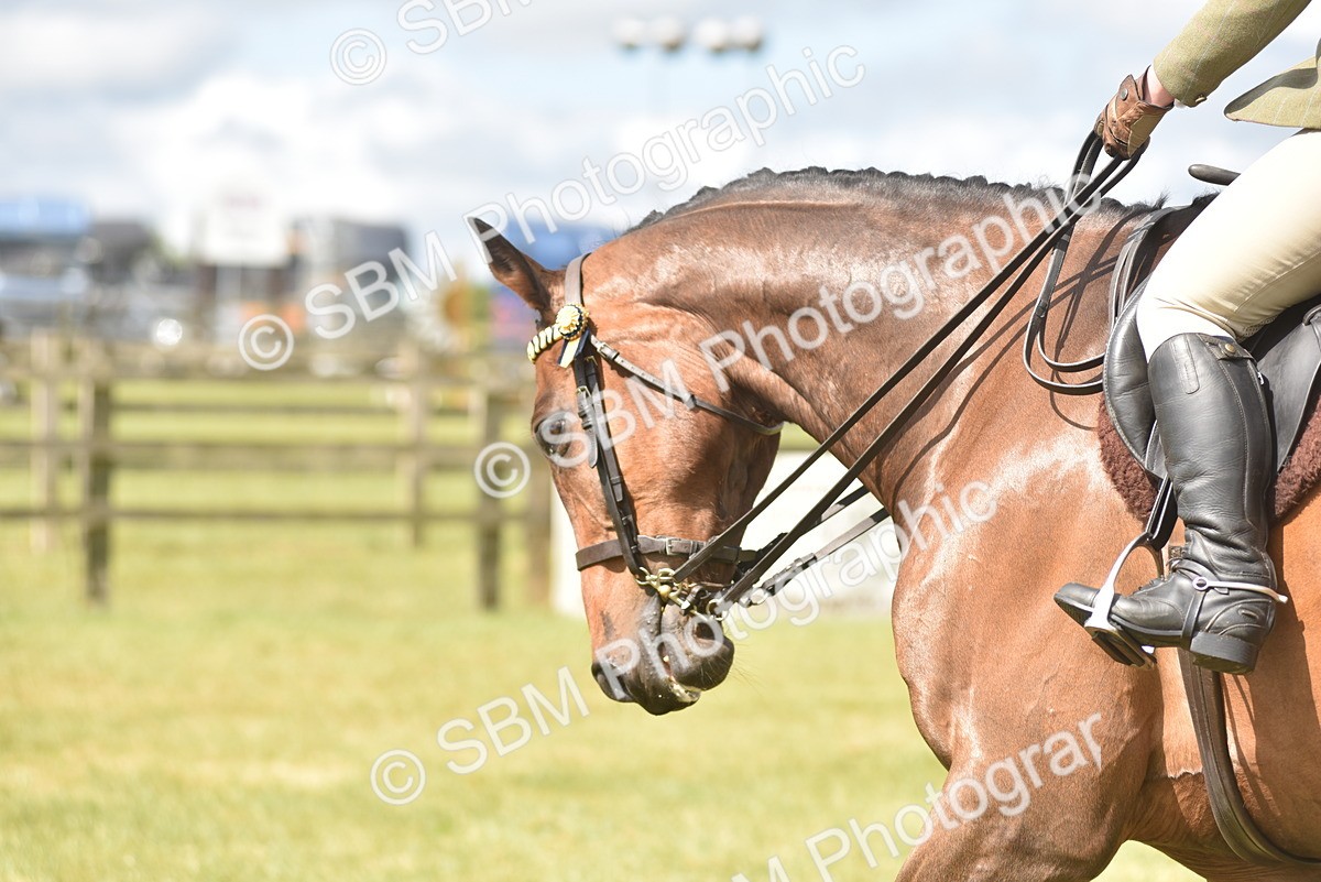 SBM_15090 - Class 113-114 - Retraining of Racehorses Ridden