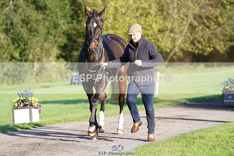 241026-100212-11555 - 005-Matthew.Heath-DIEGOS.ROSE