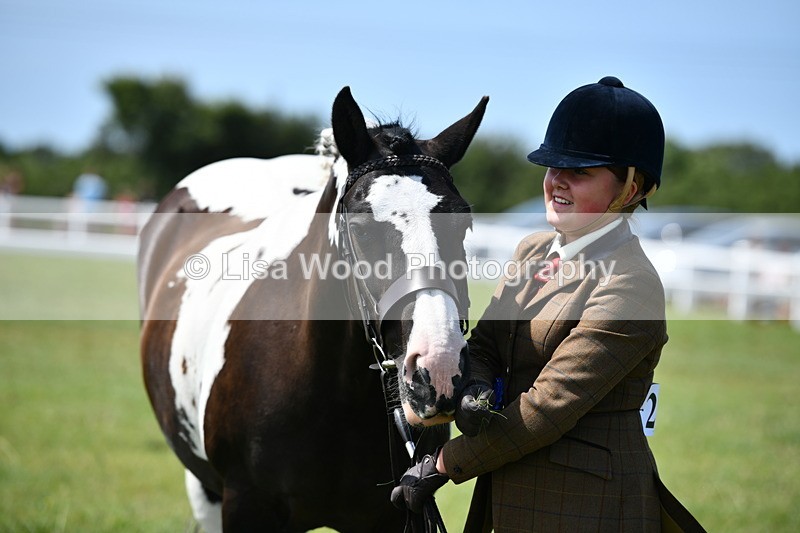 DSC_7952 - Coloured Horse In Hand Championship