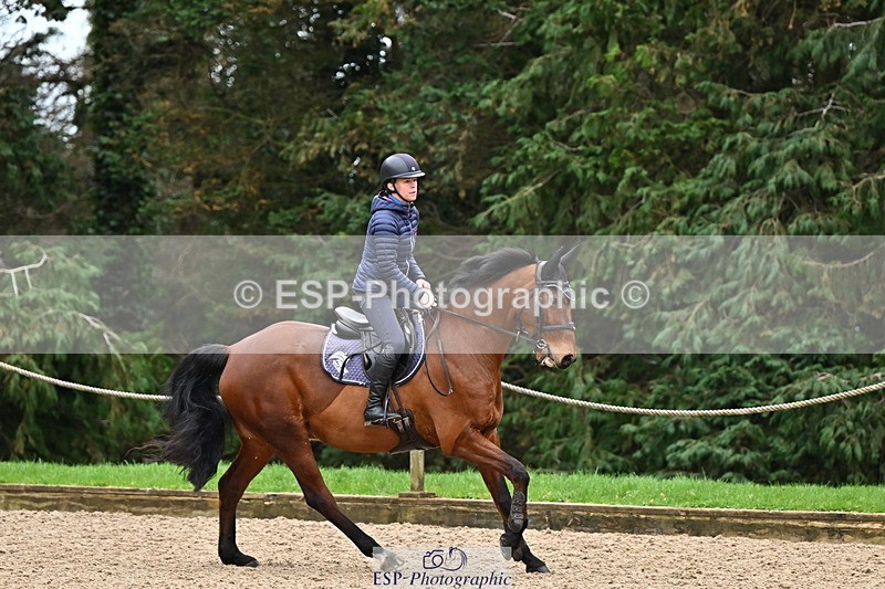 250201A-122026-00651 - Cls 02 Local Horse 100cm