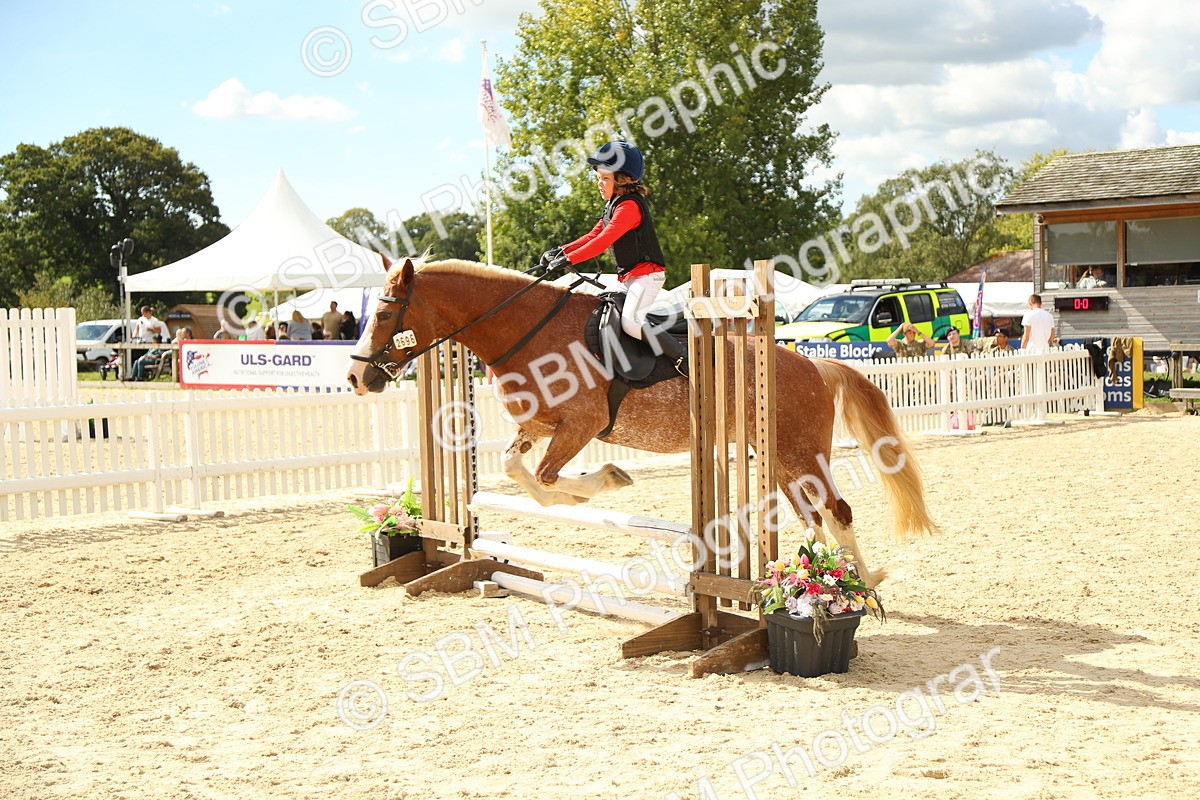 SBM_41364 - J6 - Junior Pony 55cm Championships