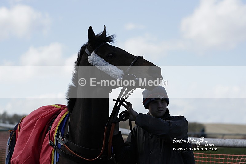 PtP 100423 683 - Old Berkshire Point-to-Point Lockinge 10/04/23