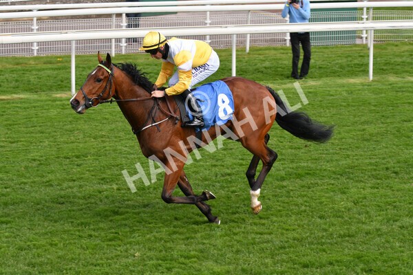 yr12052021r5-16 - Race 5 3.40pm Sky Bet Stakes