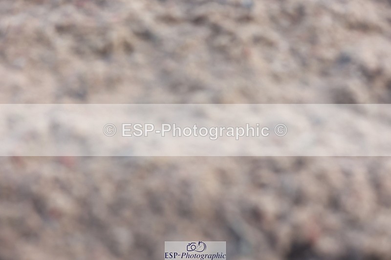 240622A-083507-06903 - Cls 24 BD Prelim 15