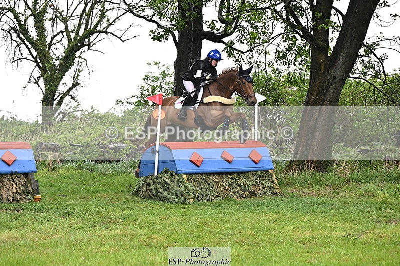 250418-131902-04117 - 205-Millie.Stoneman-V8.CHESTER