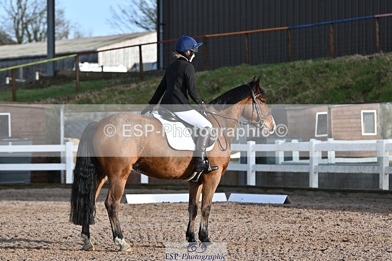 250125-104221-00217 - Dressage - CT Class 4 BE95 (80cm)